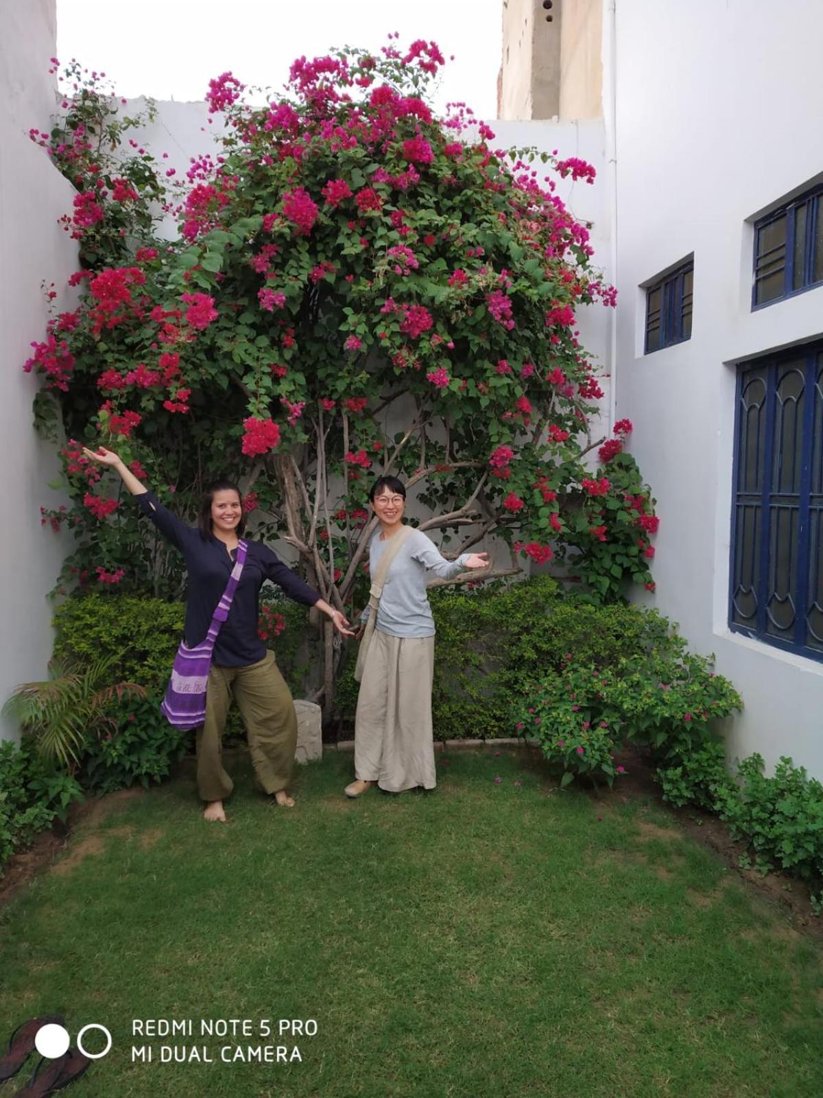 Rajguru Guest House Pushkar Eksteriør billede