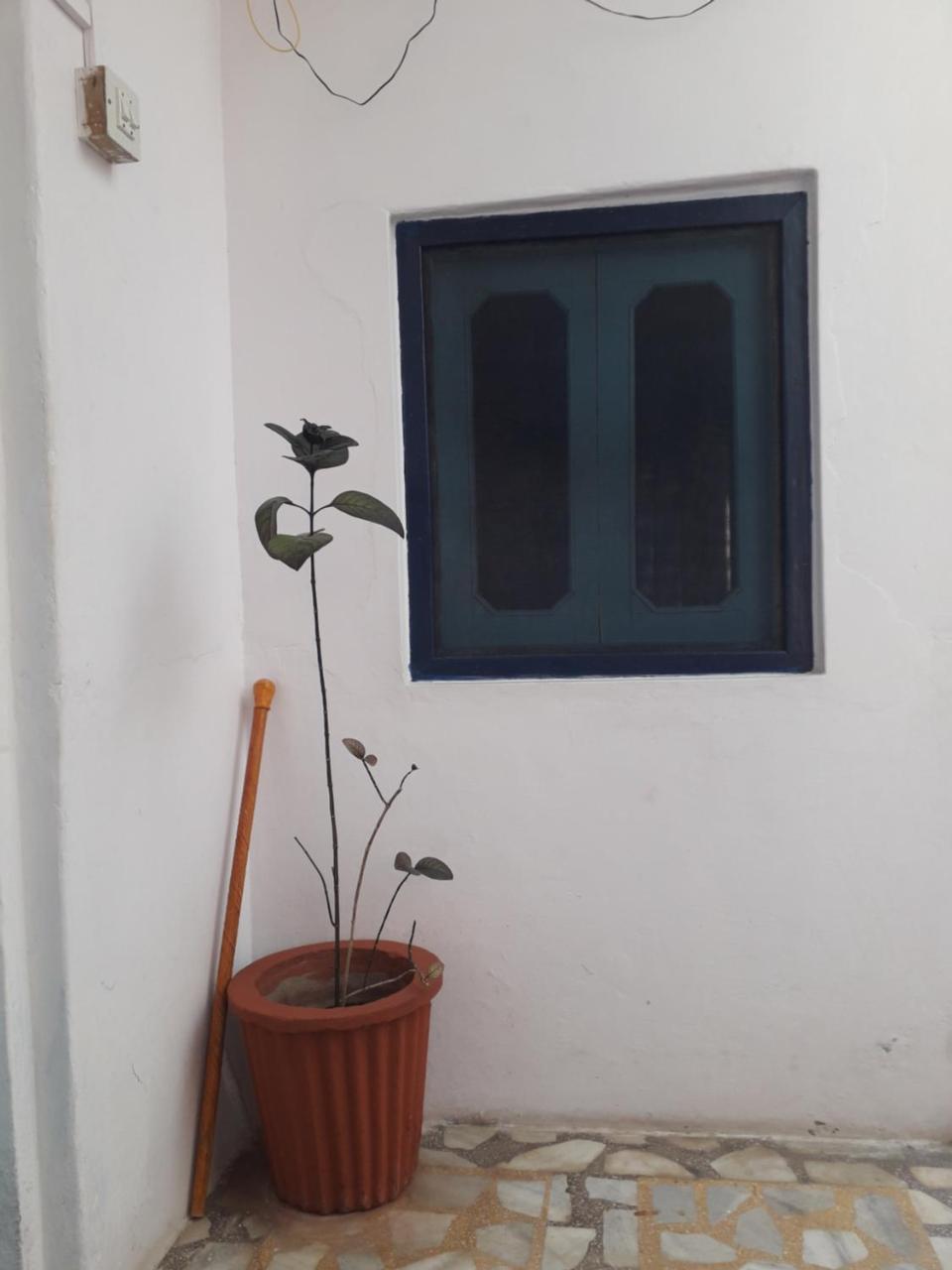 Rajguru Guest House Pushkar Eksteriør billede